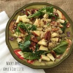Apple, Quinoa Pecan Spinach Salad