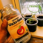 Reuse Your Wacky Apple Containers