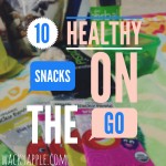 10 Healthy Snacks for On The Go